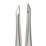 SZEMÖLDÖKCSIPESZ - HEGYES