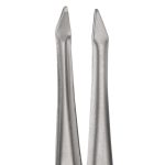 SZEMÖLDÖKCSIPESZ - HEGYES