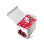 Mousse GRÁNÁTALMA csomagajánlat 50 ml